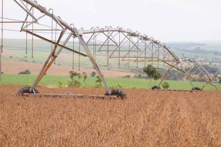 Produção de grãos do país na safra 2019/2020 deverá ser recorde Produção de grãos da safra 2019/2020 será recorde, indica estimativa da Conab - Tony Oliveira/CNA/Direitos Reservados