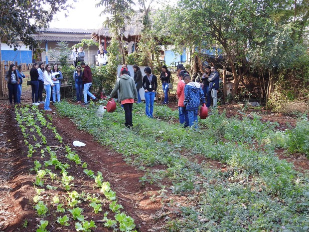 Curso inicia projeto para elaboração de cartilhas à população indígena Curso inicia projeto para elaboração de cartilhas à população indígena