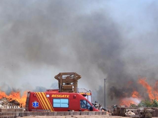 Foto: Marina Pacheco