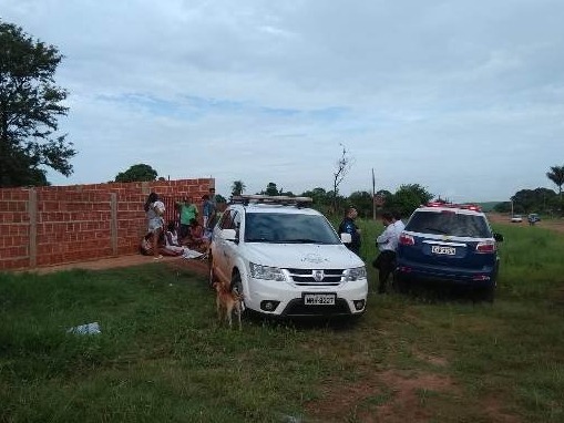 Divulgação