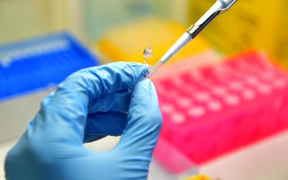 Brasil pode ter 600 mil casos de câncer notificados este ano, afirma Inca Brasil pode ter 600 mil casos de câncer notificados este ano, afirma Inca