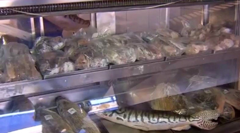 Preço do peixe varia até 112% em Campo Grande, aponta pesquisa do Procon