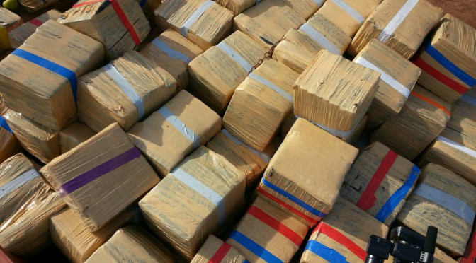 Em cinco anos apreensões de drogas no Estado aumentaram mais de 426% Em cinco anos apreensões de drogas no Estado aumentaram mais de 426%