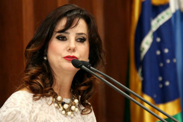 Artesãos de Mato Grosso do Sul serão homenageados na Assembleia