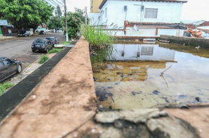 Mosquito que transmite zika vírus, dengue e febre chikungunya se prolifera em água parada. (Foto: Fernando Antunes)
