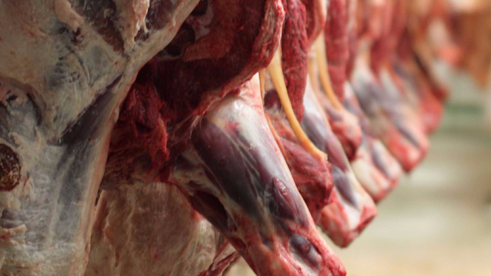 Exportação de carne bovina dispara e cresce 13,4%
