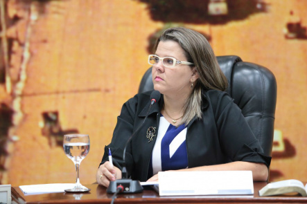 "Reforma na previdência precisa ser melhor discutida", diz Daniela "Reforma na previdência precisa ser melhor discutida", diz Daniela