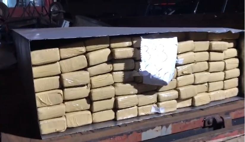 Denar prende quatro pessoas e apreende 1 tonelada de maconha Divulgação