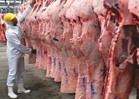 Exportações de carne bovina do Brasil caem 1% em abril, diz Abrafrigo Divulgação