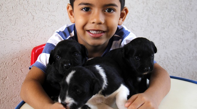 Passe livre para cães nos hospitais de Mato Grosso do Sul Divulgação