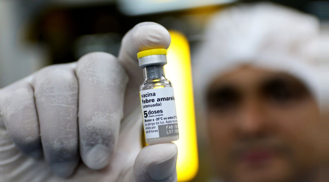 Vetor da doença na cidade, Aedes Aegytpti é o mesmo que transmite a dengue