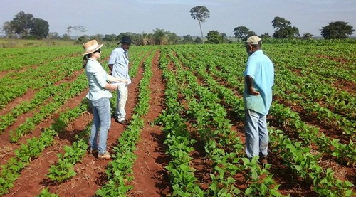 Governo de MS fecha saldo positivo na agricultura familiar com R$ 30 milhões investidos em 2017