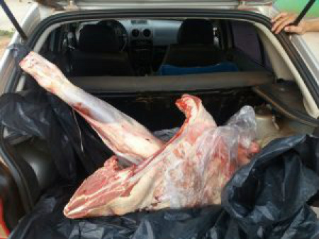 Polícia Militar de Iguatemi prende indivíduo por transporte irregular de alimento PM/Divulgação