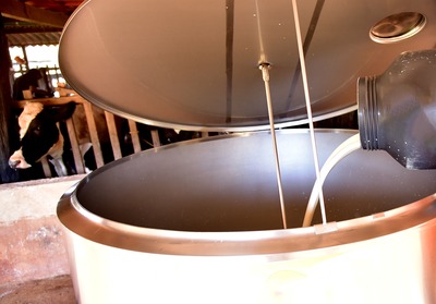 Mais de 30 técnicos de campo atenderam 743 propriedade em MS

