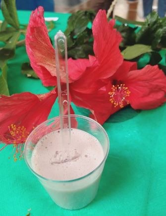 ONU: projeto visa divulgar plantas alimentícias não convencionais @pancsuff/Instagram
