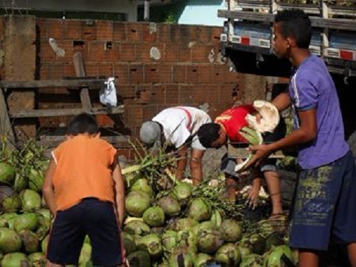 Ministério Público do Trabalho pede que população denuncie situação de crianças trabalhando - Foto: Divulgação