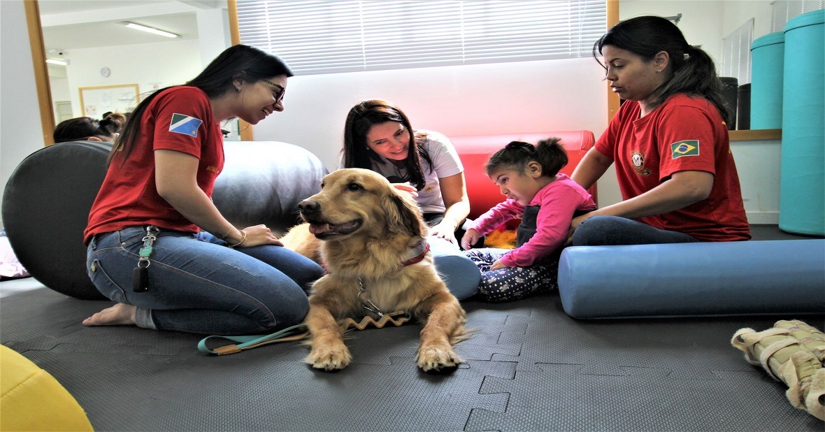 Cão Herói-Cão Amigo: o melhor amigo da saúde Fotos: Saul Schramm