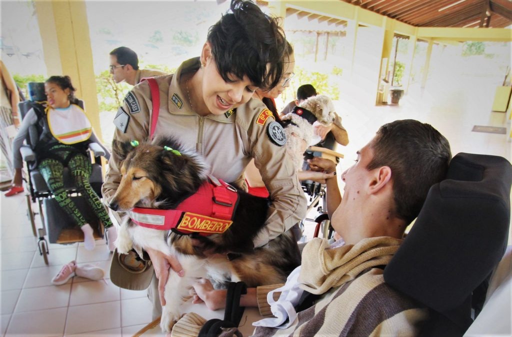 Cão Herói-Cão Amigo: o melhor amigo da saúde Cão Herói Cão Amigo Cotolengo estimulam, cuidam e alegram pacientes