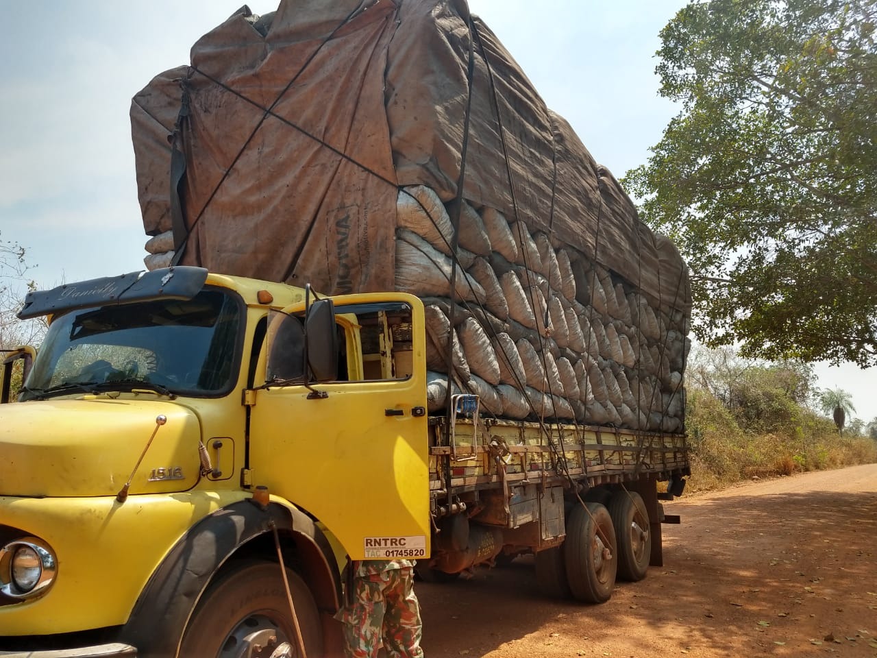 PMA apreende caminhão com 60 m³ de carvão ilegal PMA apreende caminhão com 60 m³ de carvão ilegal