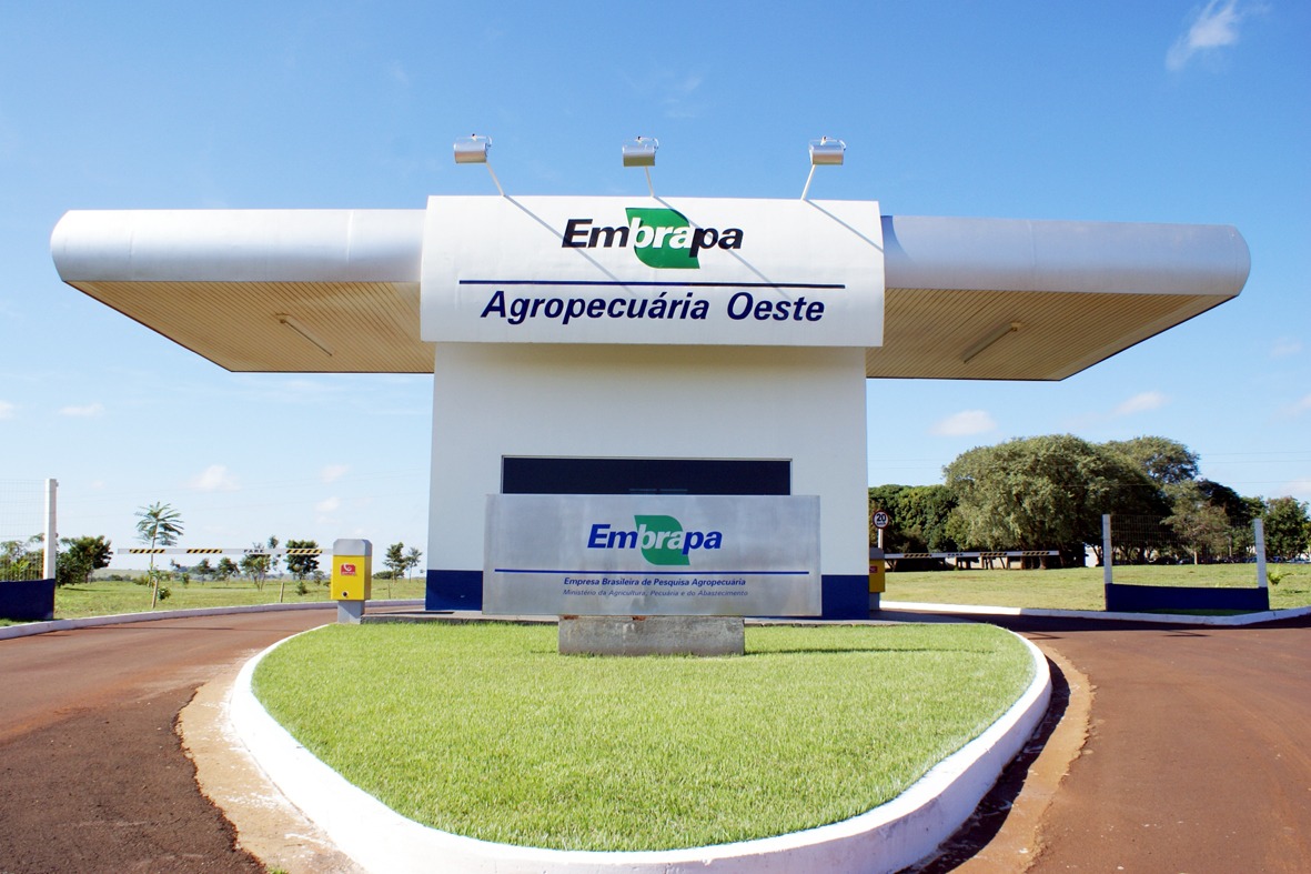 Governo estuda reestruturação da Embrapa Governo estuda reestruturação da Embrapa