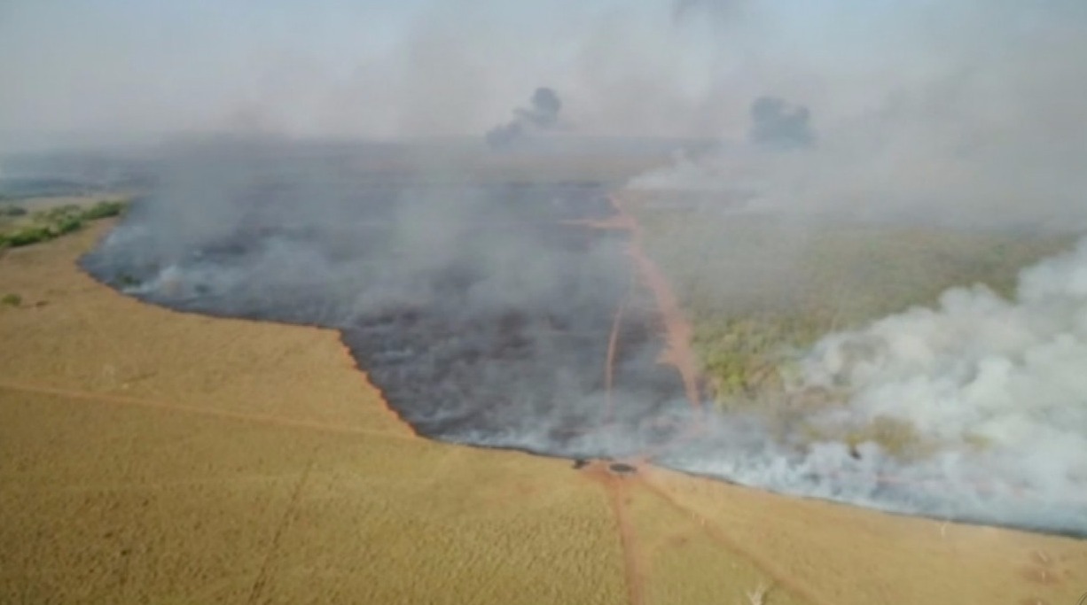 Incêndio voltou a atingir propriedades rurais em Ribas do Rio Pardo nesta quinta-feira (14) (Foto: Reprodução)