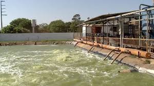 MP pede interdição de curtume por descarte irregular de resíduos