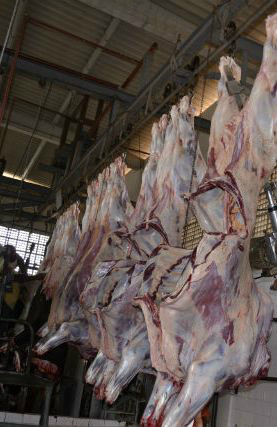 Foto - Imagem Divulgação