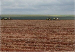 Lavoura destinada ao plantio do algodão safrinha em MS. (Foto: Jovem Sul News)
