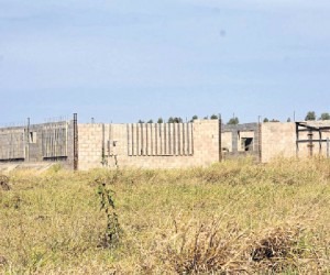 O mato está crescendo em torno da obra, no Complexo Penal da Gameleira - Paulo Ribas