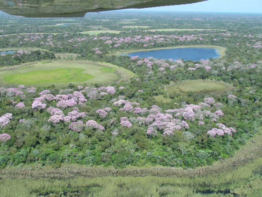 Educação ambiental foi inserida no currículo das escolas da rede estadual de ensino (Foto: Claudia Gaigher)