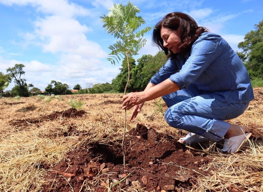 Plantio de 1700 árvores garante a preservação de área de proteção ambiental em Dourados Divulgação