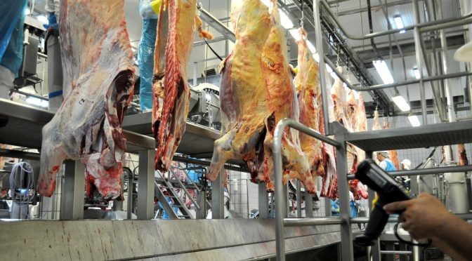 Mais dois frigoríficos de MS são habilitados a exportar carne à China Mais dois frigoríficos de MS são habilitados a exportar carne à China
