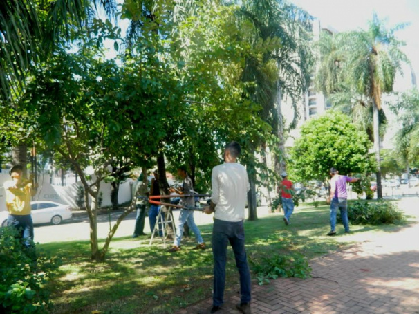 Brigada Sustentável realiza podas na região central da cidade Depois da região central, serão atendidos os distritos de Anhanduí e Rochedinho