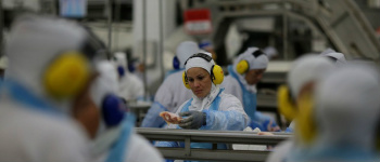 Recuperação da exportação de carnes pode levar até 5 anos Reuters / Ueslei Marcelino