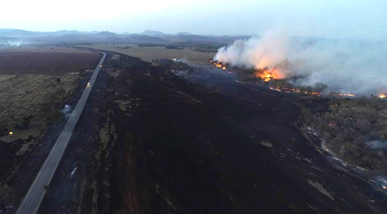 Sem chuva, queimadas se intensificam e Ibama estima 1 milhão de hectares em cinzas Fogo queimou uma extensa área ao lado da MS-178, rodovia que liga os municípios de Bonito e Bodoquena