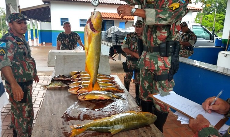 Ações visaram reprimir a pesca predatória em razão das facilidades de captura do pescado no período