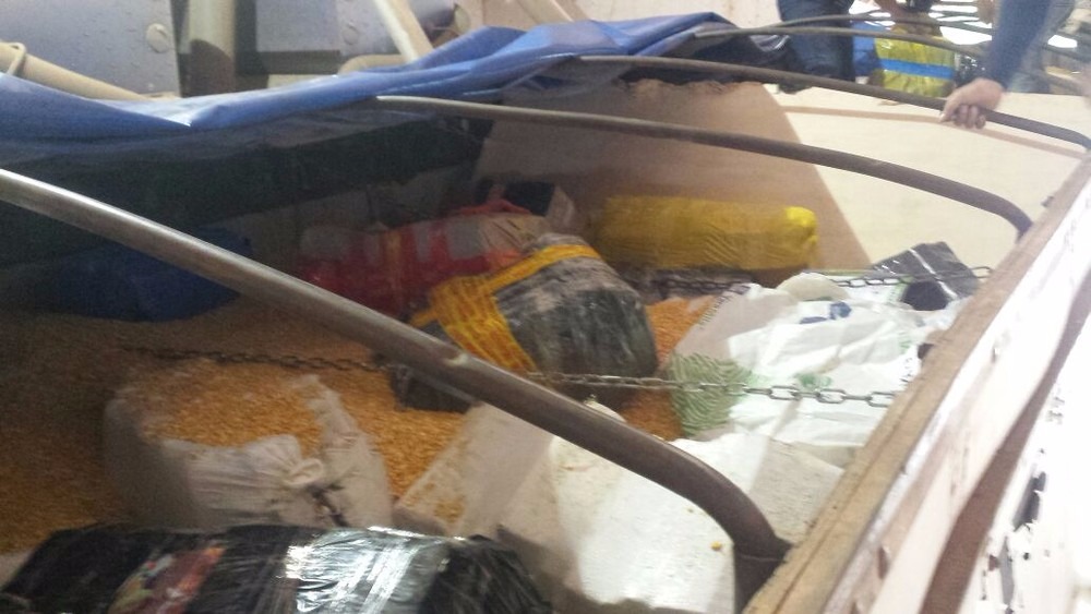 PF apreende 11 t de maconha em carreta carregada com milho e idoso de 74 anos é preso Carroceria da carreta carregada com milho onde entorpecente foi escondido (Foto: PF/Divulgação)