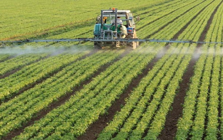 Plano para Difusão do Manejo de Pragas será lançado hoje Plano para Difusão do Manejo de Pragas será lançado hoje