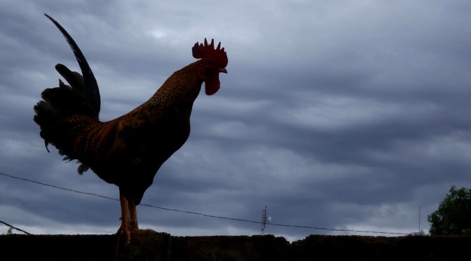 Sexta-feira de tempo nublado com pancadas de chuva e trovoadas em MS