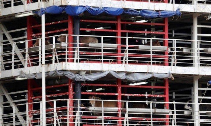 Paulo Whitaker/Reuters