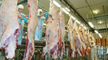 JBS paralisa por três dias produção de carne bovina no Brasil Reprodução