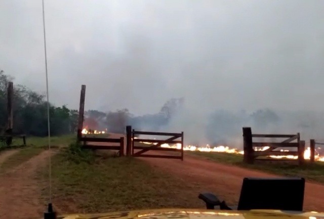 Corpo de Bombeiros sobrevoam 10 pontos de incêndio na região do Pantanal Divulgação