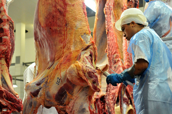 Processamento de carne bovina nas unidades que já estava reduzido nestes primeiros meses do ano tendem a cair ainda mais - Foto: Valdenir Rezende / Correio do Estado