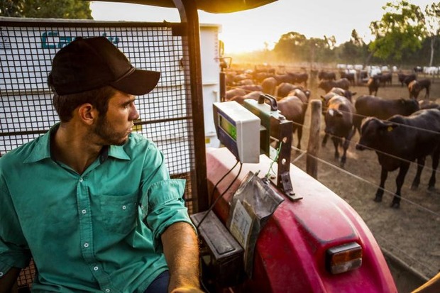 Com 2,1 mil novas vagas, agropecuária de MS gera empregos acima da média nacional (Marco Miatelo)