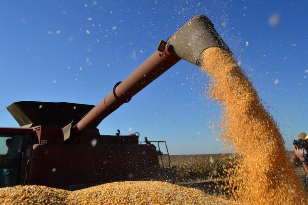 Maracaju e Sidrolândia estão entre os 20 principais municípios com produção agrícola do Brasil