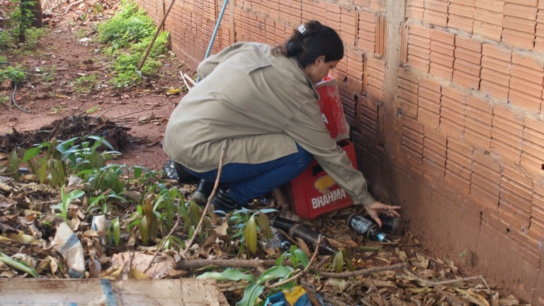 Primeiro dia de ação tem vistoria em quase 7 mil imóveis e mais de 400 focos do Aedes eliminados