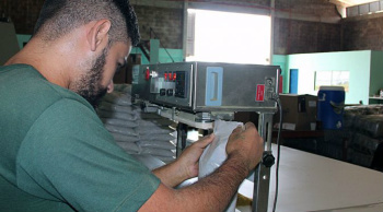 Sistema prisional de MS: Tereré é fonte de trabalho e renda para detentos Empacotamento de erva mate na Gameleira. Divulgação