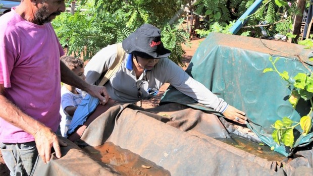 Prefeitura define plano de ação integrada e deflagra megaoperação contra o Aedes na próxima semana Prefeitura define plano de ação integrada e deflagra megaoperação contra o Aedes na próxima semana
