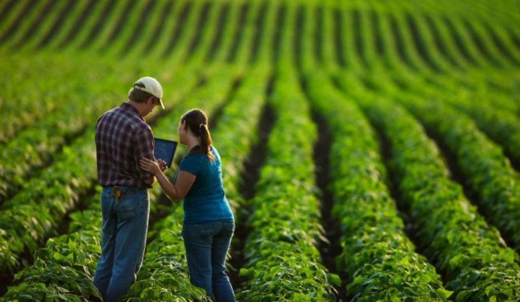 Especialistas ensinam como proteger patrimônio e ampliar investimentos no agronegócio Foto Ilustrativa