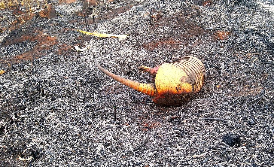 PMA já aplicou R$ 1,8 milhão em multas por incêndios neste ano 17 pessoas, entre jurídicas e físicas foram autuadas em 2019.